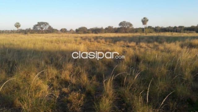 Campo Ganadero en Ruta Ñ - 217 Ha