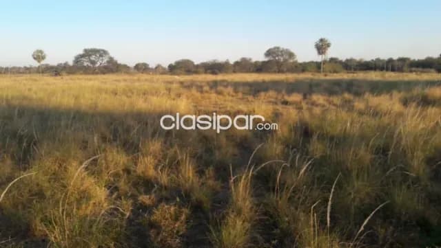 Campo Ganadero en Ruta Ñ - 217 Ha, foto 2