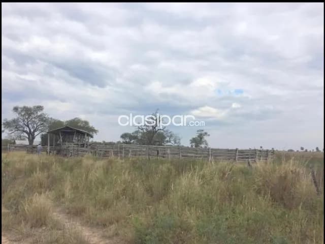 Campo Ganadero en Ruta Ñ - 217 Ha, foto 3