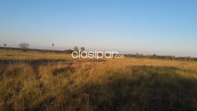 Campo Ganadero en Ruta Ñ - 217 Ha, foto 4