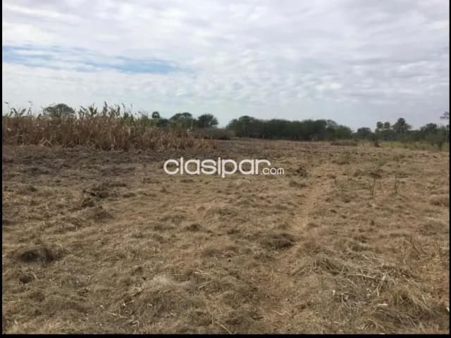 Campo Ganadero en Ruta Ñ - 217 Ha, foto 5