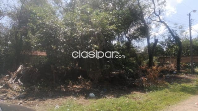 Terreno en esquina, San Bernardino Zona Biggie