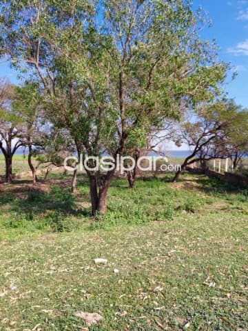 Terreno en San Bernardino sobre el lago — foto 2