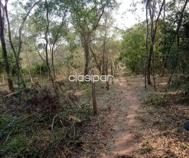 Altos – cordillera: Vendo 10 hectareas, a cuadras de la ruta camino a atyrá, foto 4
