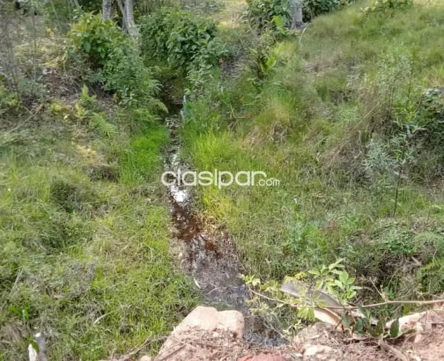 Altos – cordillera: Vendo 10 hectareas, a cuadras de la ruta camino a atyrá, foto 5