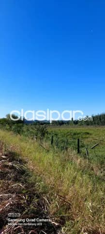 Nueva italia – pindoty: Maravillosas 7 has, prox. Al pueblo, p/ loteamientos, desarrollos, foto 3