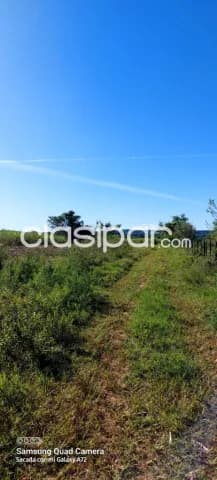 Nueva italia – pindoty: Maravillosas 7 has, prox. Al pueblo, p/ loteamientos, desarrollos, foto 4