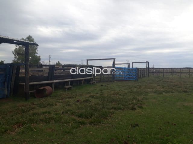 Campo Ganadero en Caapucu - 130 Ha — foto 1