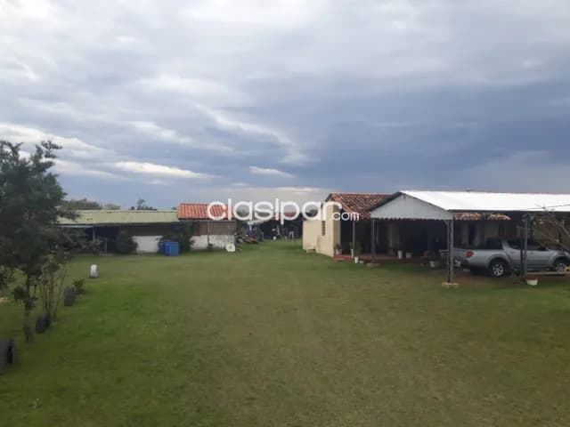 Campo Ganadero en Caapucu - 130 Ha — foto 3