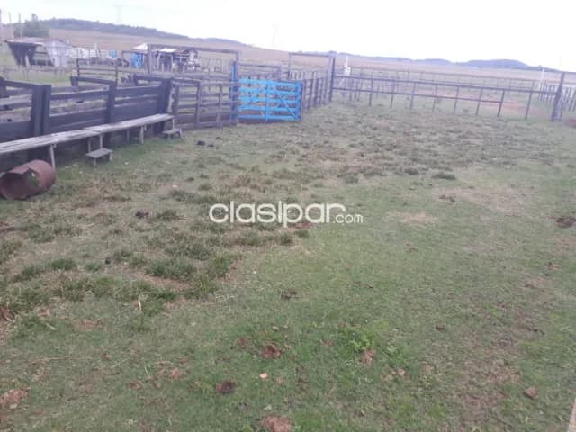 Campo Ganadero en Caapucu - 130 Ha — foto 5