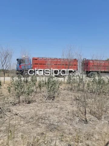 Pto falcon – chaco: 24 has inigualables p/ loteamientos, bº privados, casa de fin de seman — foto 3