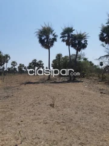 Pto falcon – chaco: 24 has inigualables p/ loteamientos, bº privados, casa de fin de seman, foto 4