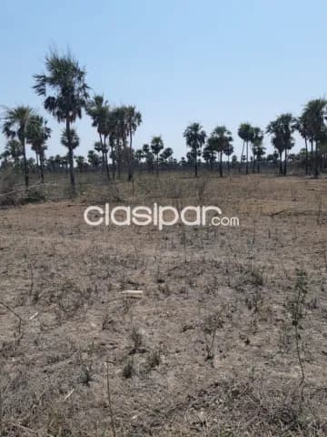 Pto falcon – chaco: 24 has inigualables p/ loteamientos, bº privados, casa de fin de seman — foto 5