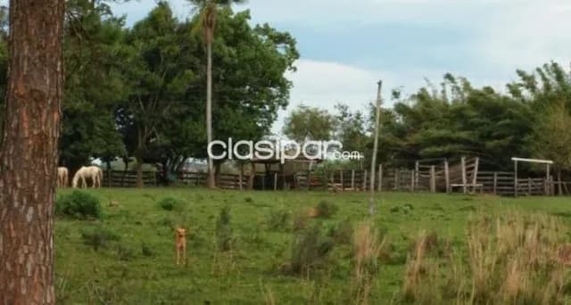 Caazapá: 222 has, estudio técnico de oro, infraestructura full, 7.500 usd/ha — foto 3