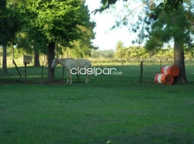 Caazapá: 222 has, estudio técnico de oro, infraestructura full, 7.500 usd/ha — foto 5