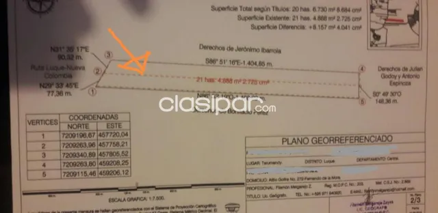 Tarumandy – Luque: Magnificas 10,37 has, ideal p/ desarrollos inmobiliarios — foto 3