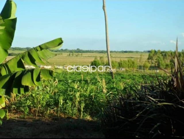 Caazapá – caazapá: Inigualables 217 hectareas, propiedad agro-ganadera ideal en venta — foto 1
