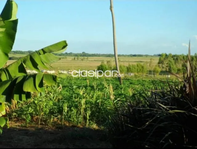 Caazapá – caazapá: Inigualables 217 hectareas, propiedad agro-ganadera ideal en venta — foto 2