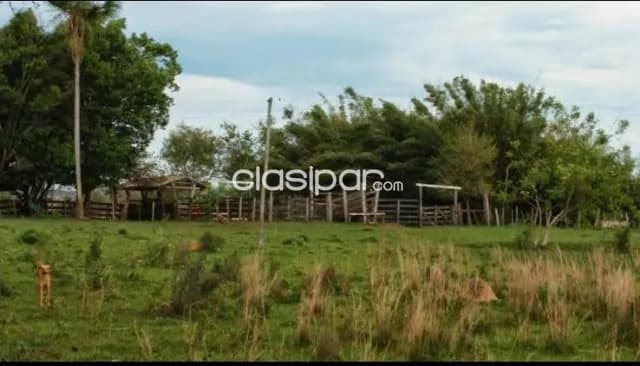 Caazapá – caazapá: Inigualables 217 hectareas, propiedad agro-ganadera ideal en venta — foto 3