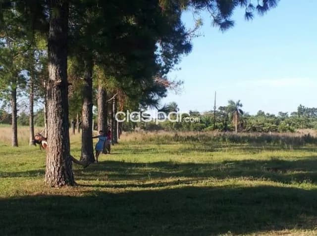 Caazapá – caazapá: Inigualables 217 hectareas, propiedad agro-ganadera ideal en venta — foto 4