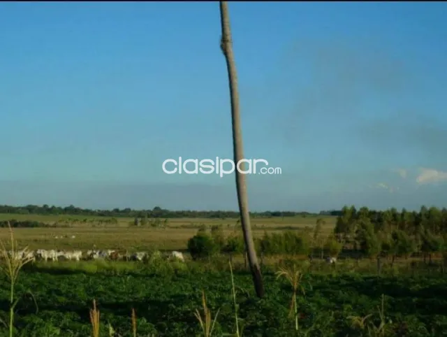 Caazapá – caazapá: Inigualables 217 hectareas, propiedad agro-ganadera ideal en venta — foto 5