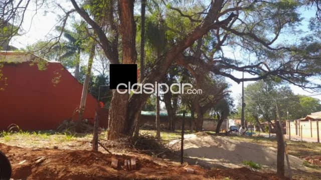 Terreno en Luque barrio america cod 1311, foto 3