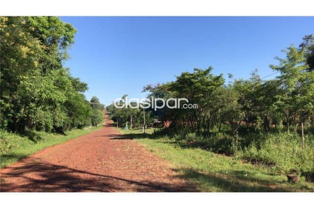 En cambyreta 11 hectareas con eucalital zona tacuari