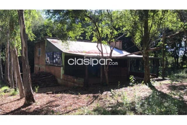En cambyreta 11 hectareas con eucalital zona tacuari, foto 4