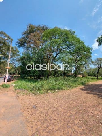 10 lotes juntos en San Lorenzo