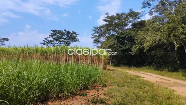 Campo de 126 hectáreas en villeta valle poi, foto 5