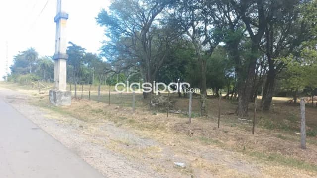 Villeta – alberdi: 11,5 has, s/ asfalto, p/ loteamientos y otros, 90.000 usd/ha, foto 3