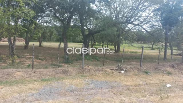 Villeta – alberdi: 11,5 has, s/ asfalto, p/ loteamientos y otros, 90.000 usd/ha, foto 4