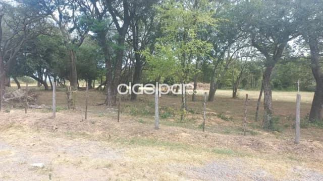 Villeta – alberdi: 11,5 has, s/ asfalto, p/ loteamientos y otros, 90.000 usd/ha, foto 5