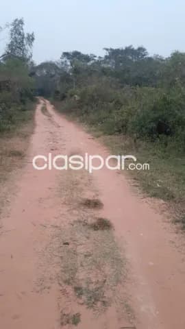 Villeta – conex. Acceso sur: 2,9 has, p/ desarrollos inmobiliarios, 550.000.000 gs/ha, foto 4