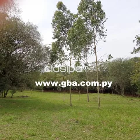 Precio De Remate Hermosa Casa Quinta En San Juan Bautista Misiones — foto 4