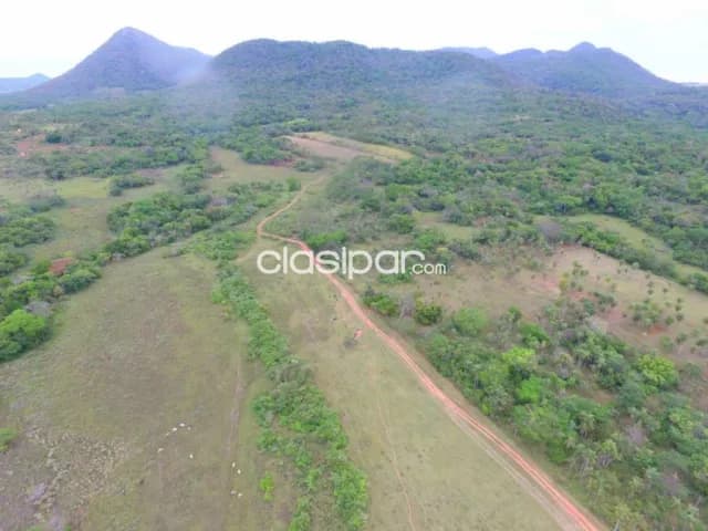 Propiedad de 166 hectáreas en acahay sobre ruta asfaltada cod:v0232 — foto 3