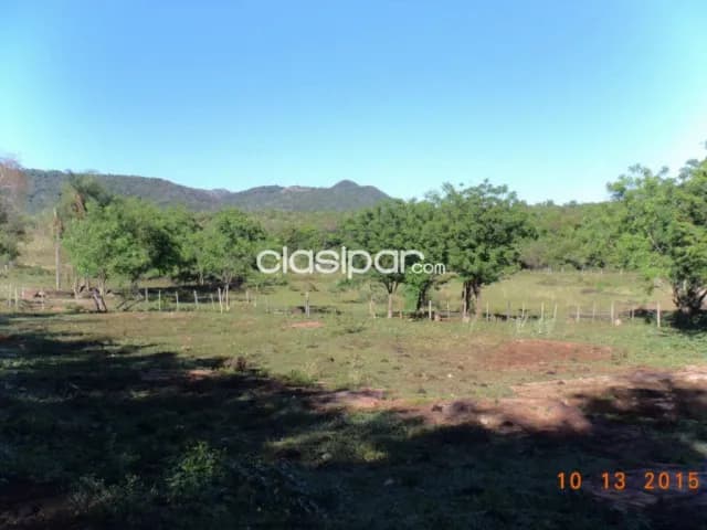 Propiedad de 166 hectáreas en acahay sobre ruta asfaltada cod:v0232 — foto 5