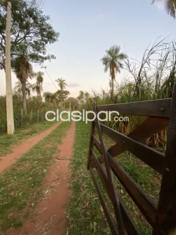 Nueva colombia – cordillera: Granja modelo, agro-ganadera en funcionamiento, frutales, foto 5