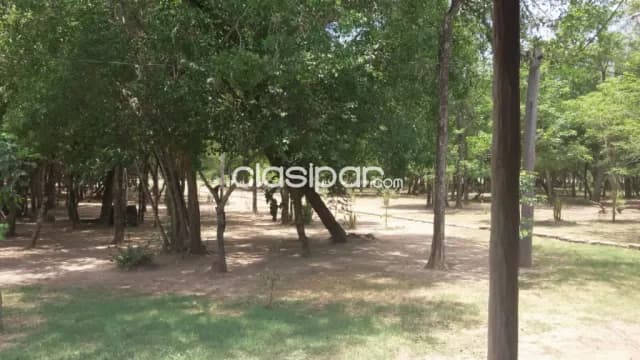 64.000 hectáreas. En dos S.A. Vendo con 15.000 cabezas de Ganado. Carta de Intención. Pres, foto 2