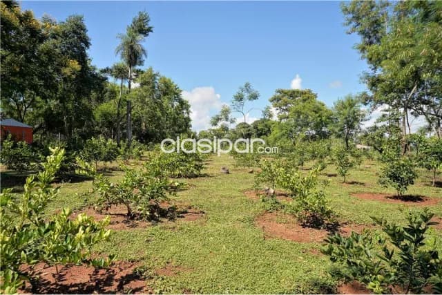 Ofertaa!!!...en venta imponente granja productiva de superf. 3 has. 7.668 m2. En ita!!!, foto 5