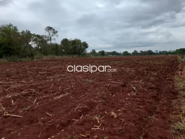 2.5 Hectareas en Km 30 Monday Minga Guazu, foto 3