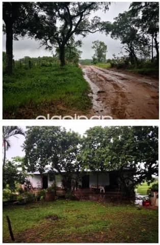S/ ruta villeta, n. Italia, carapeguá: 600 maravillosa has, p/ desarrollos inmobiliarios, foto 4