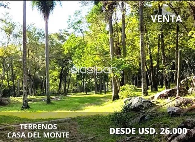 Altos – atyrá: Maravillosos terrenos, 1 paraíso natural, cercano a Asunción — foto 2