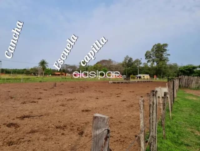 40 hectareas en san pedro cod 1368, foto 3