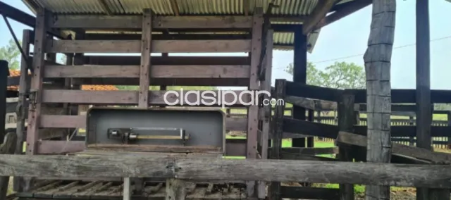 40 hectareas en san pedro cod 1368, foto 4