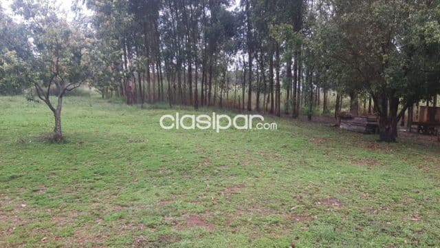 Pdte. Franco – alto paraná: 7.3 has, s/ r. Paraná y asfalto, p/ emprend. Inmobiliarios — foto principal