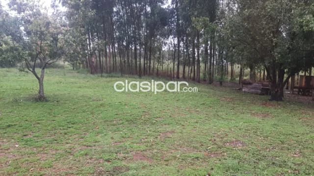 Pdte. Franco – alto paraná: 7.3 has, s/ r. Paraná y asfalto, p/ emprend. Inmobiliarios — foto 2