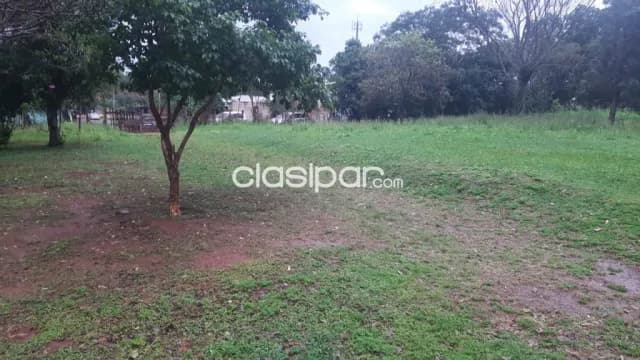 Pdte. Franco – alto paraná: 7.3 has, s/ r. Paraná y asfalto, p/ emprend. Inmobiliarios — foto 3