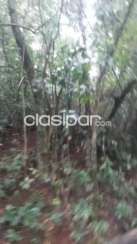 Pdte. Franco – alto paraná: 7.3 has, s/ r. Paraná y asfalto, p/ emprend. Inmobiliarios — foto 4