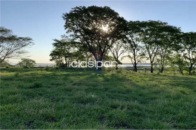 Terreno - Venta - Paraguay Central Mariano Roque Alonso Terreno de casi 54.000 m2 en Mari, foto 2